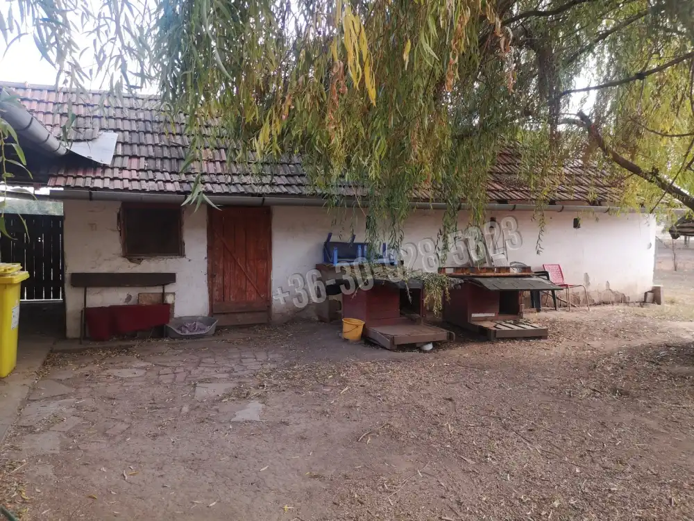 Békés megye - Békéscsaba