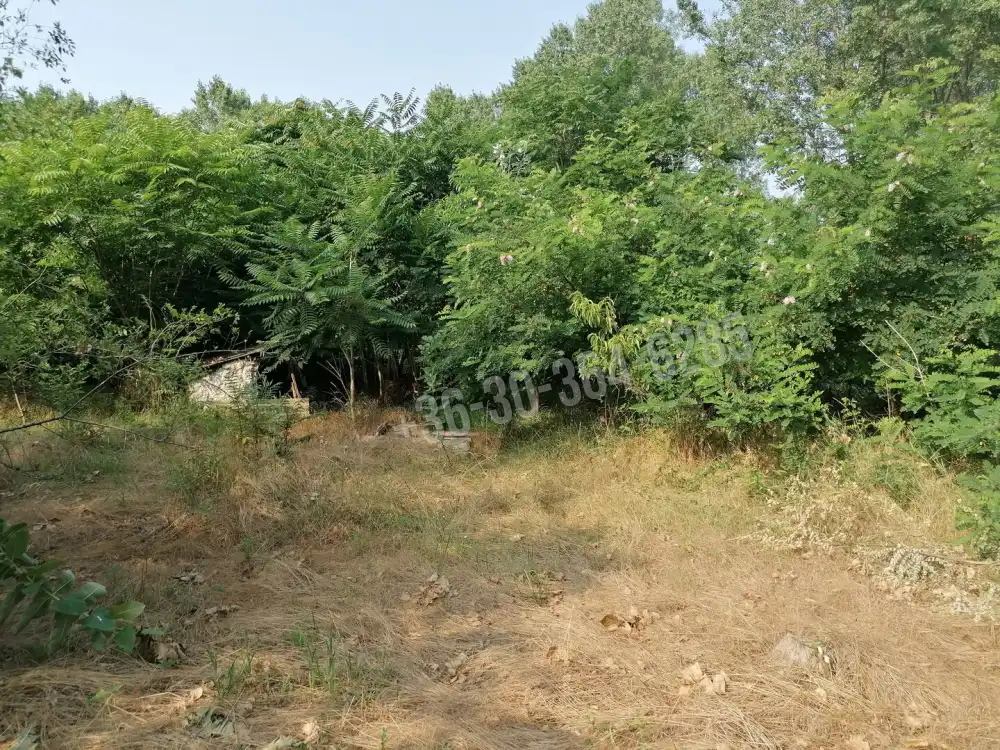 Pest megye - Csemő