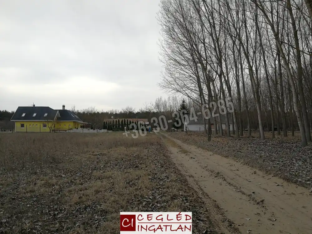 Pest megye - Csemő