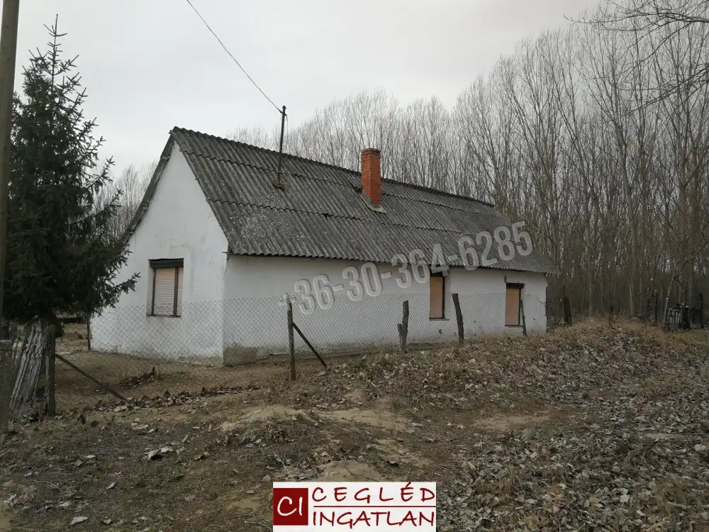 Pest megye - Csemő