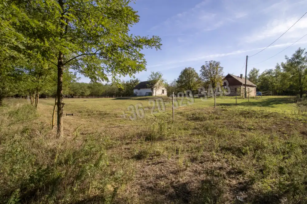 Pest megye - Csemő