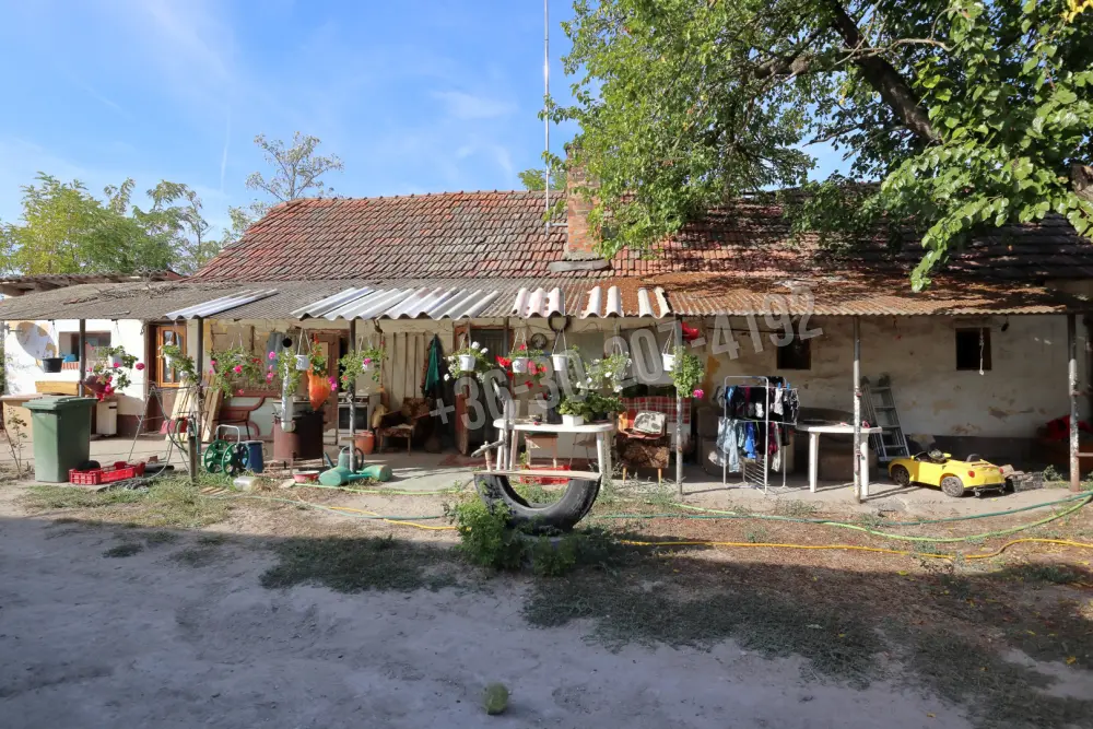 Csongrád megye - Dóc
