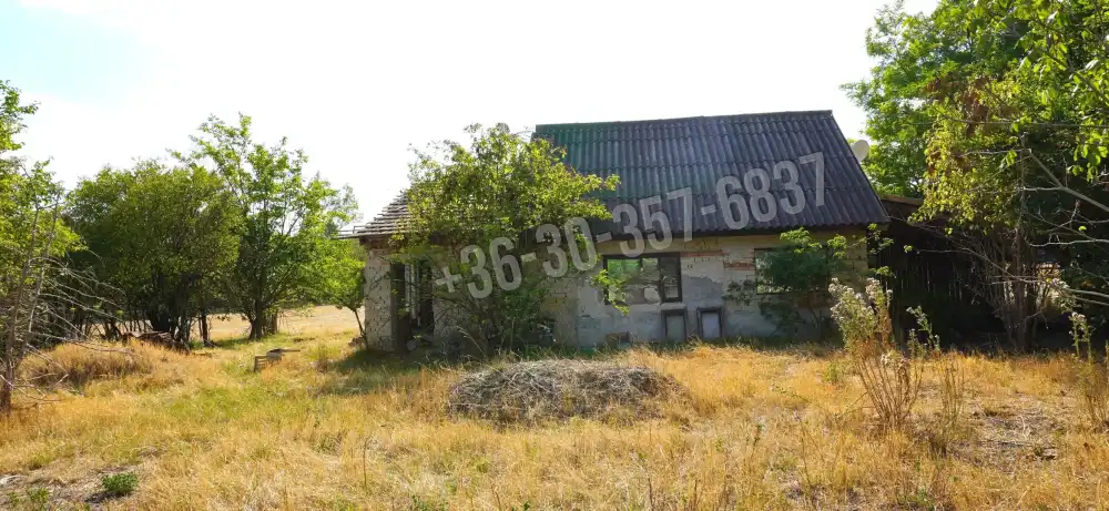 Csongrád megye - Domaszék