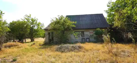 eladó tanya, Domaszék