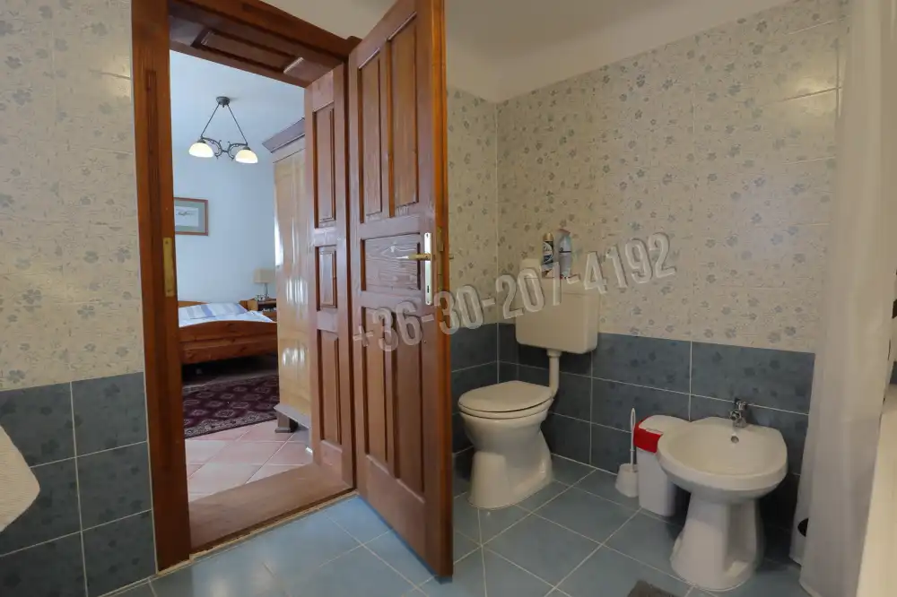 Csongrád megye - Domaszék