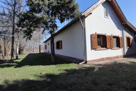 eladó tanya, Domaszék