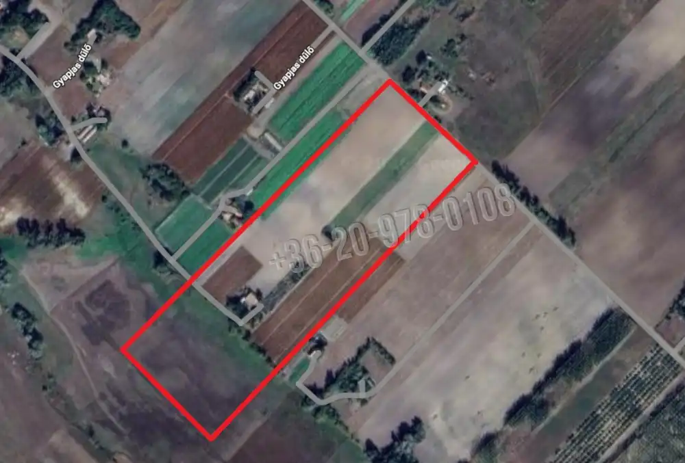 Csongrád megye - Forráskút