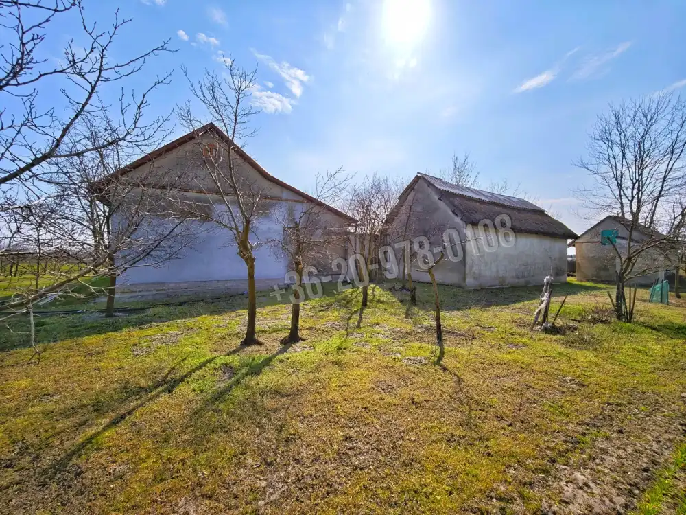 Csongrád megye - Forráskút