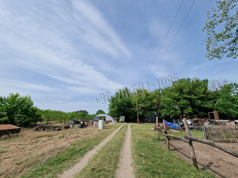 Bács-Kiskun megye - Kiskőrös