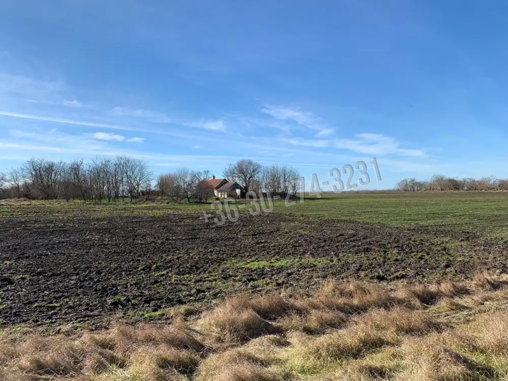 Bács-Kiskun megye - Kiskunfélegyháza