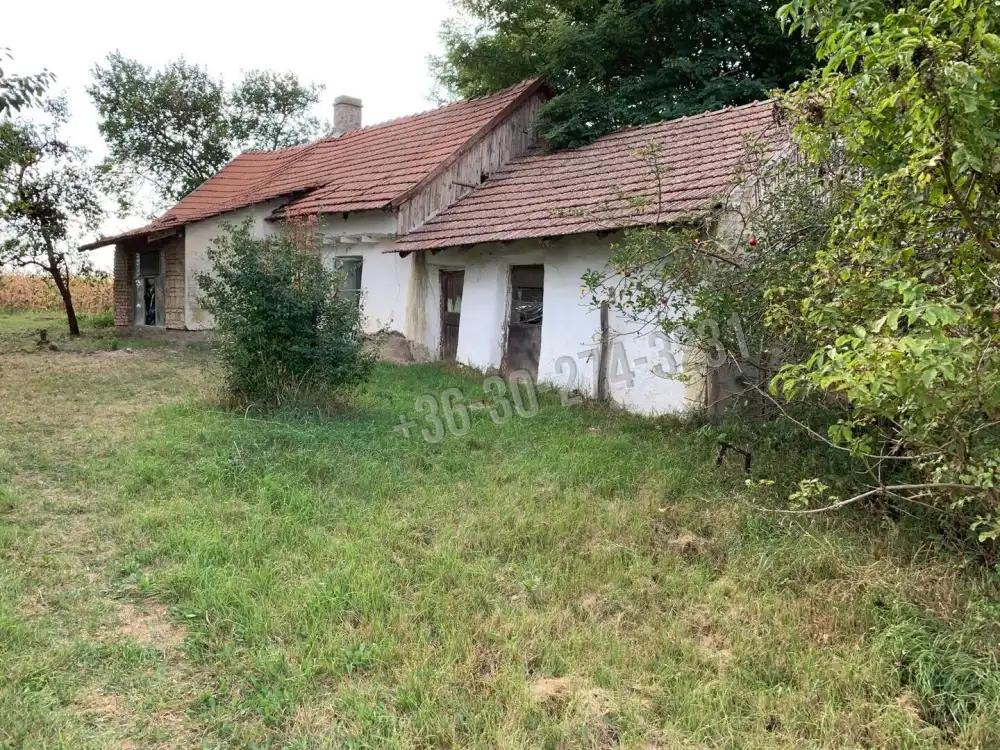 Bács-Kiskun megye - Kiskunfélegyháza