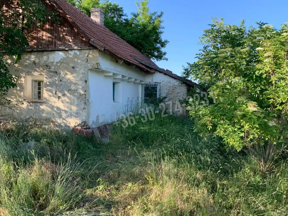 Bács-Kiskun megye - Kiskunfélegyháza