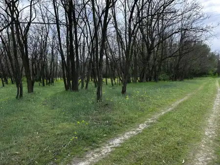 eladó tanya, Lajosmizse