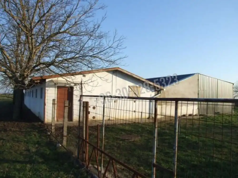 Békés megye - Mezőhegyes