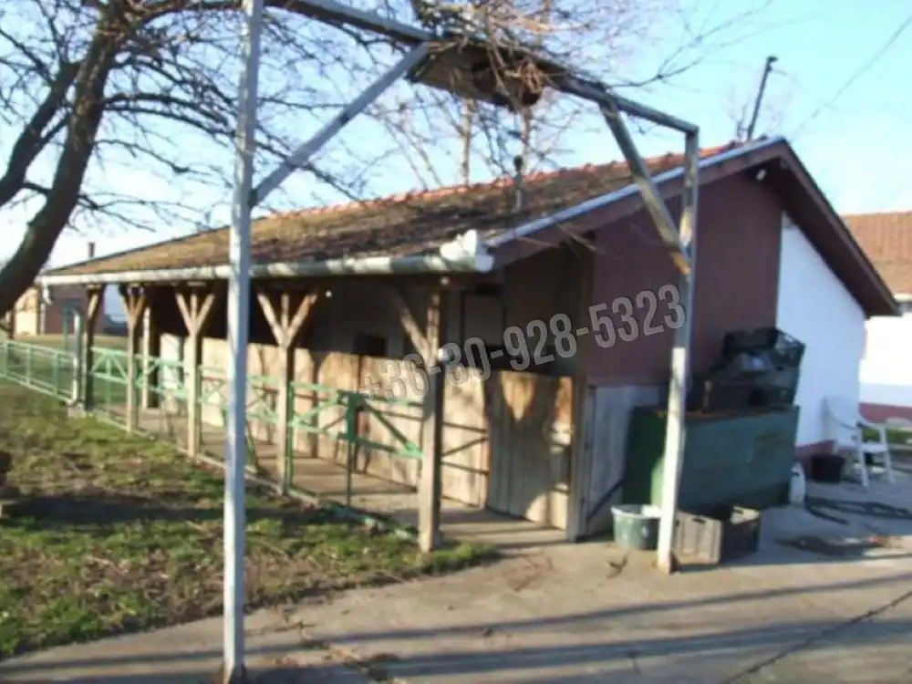 Békés megye - Mezőhegyes