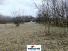 Pest megye - Mikebuda