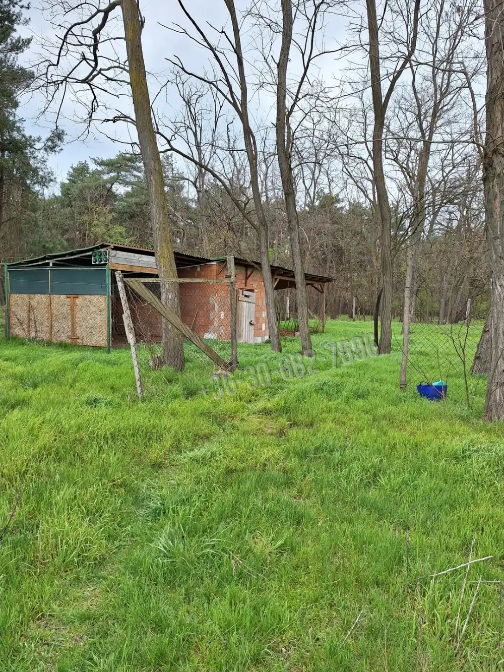 Pest megye - Ócsa