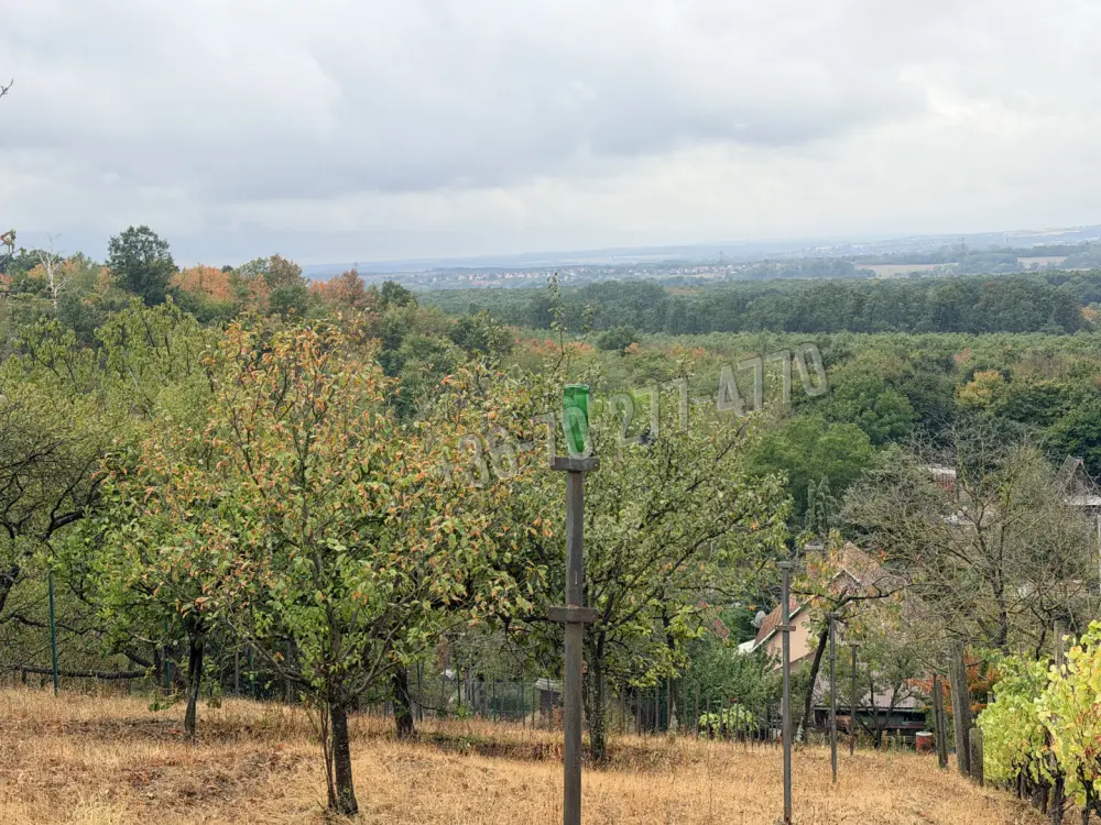 Komárom-Esztergom megye - Oroszlány