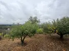 Komárom-Esztergom megye - Oroszlány