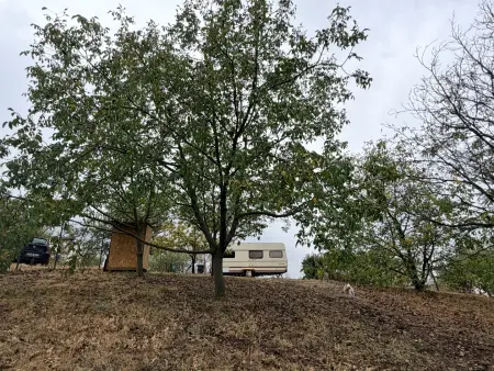 Eladó tanya, Oroszlány 1 szoba 10 m² 9.2 M Ft