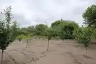 Csongrád megye - Szatymaz
