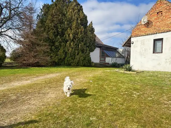 Eladó tanya, Szatymaz 2 szoba 87 m² 31.6 M Ft