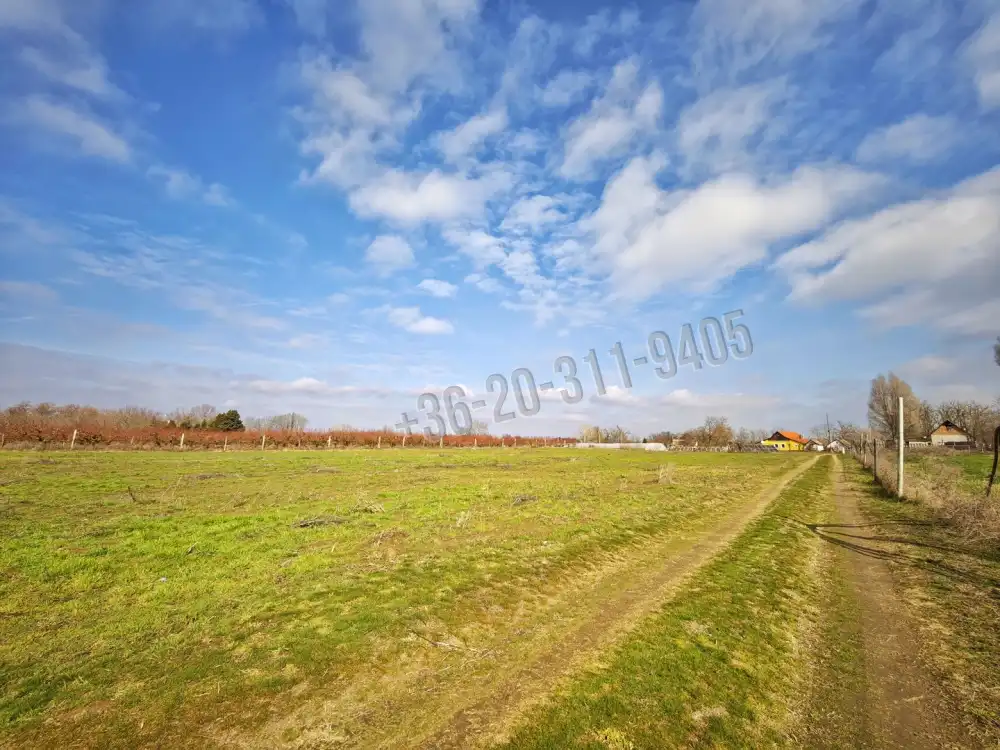 Csongrád megye - Szatymaz