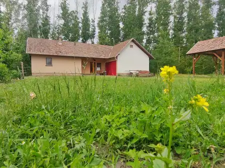 eladó tanya, Szatymaz