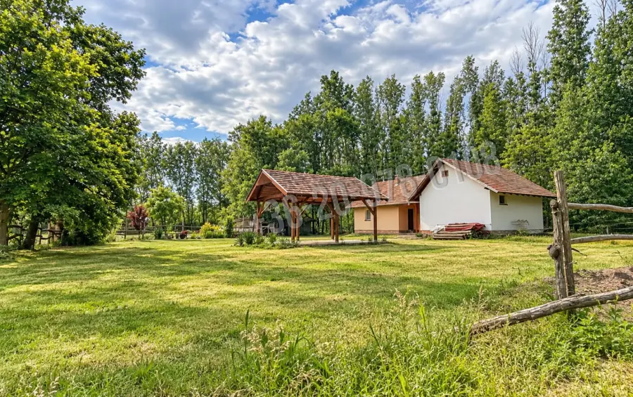 eladó tanya, Szatymaz