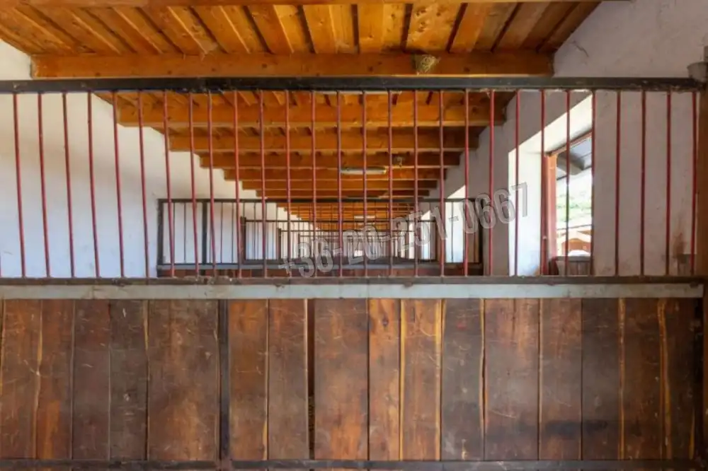 Tolna megye - Szekszárd