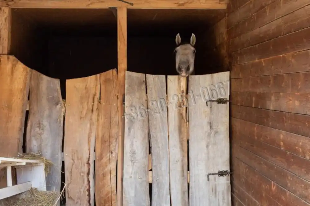 Tolna megye - Szekszárd