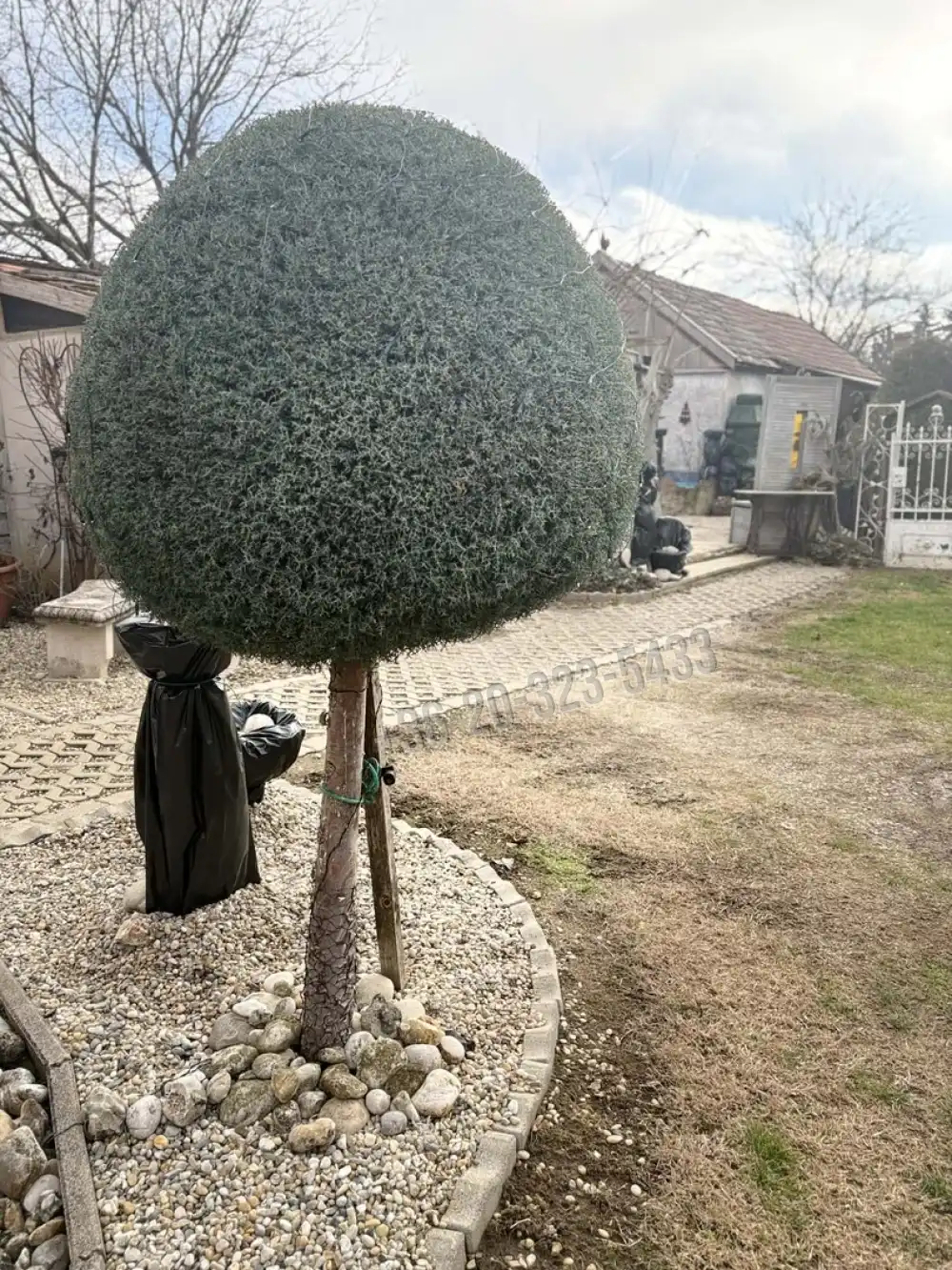 Somogy megye - Balatonboglár-Szőlőskislak