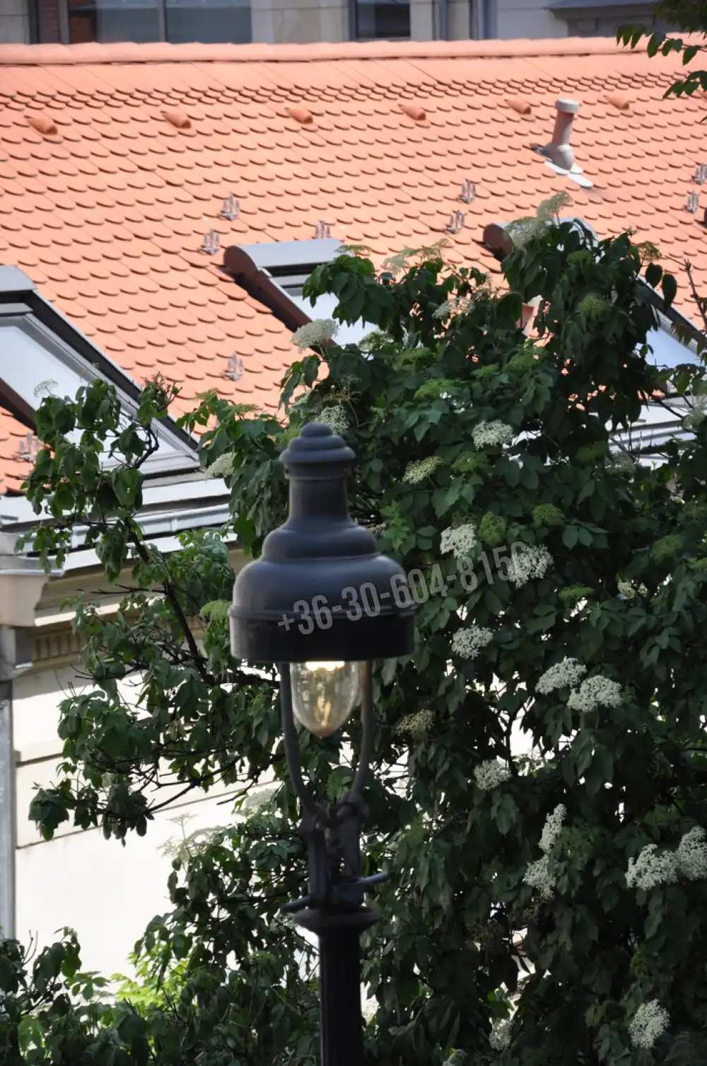 Budapest, I. kerület - Gellérthegy