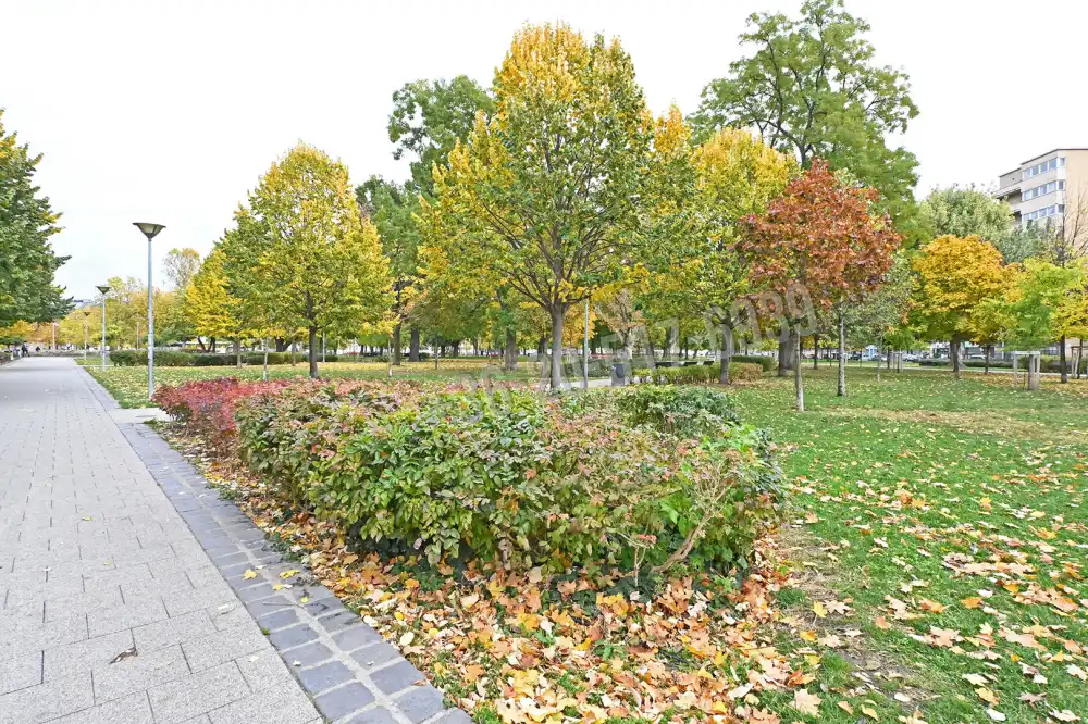 Budapest, VIII. kerület - Népszínház negyed