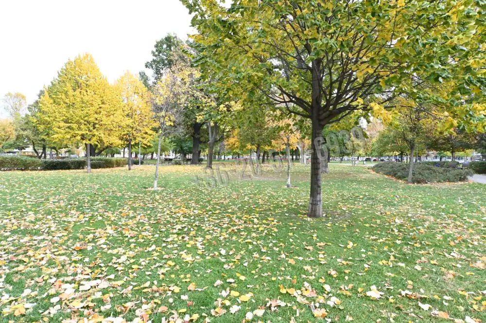 Budapest, VIII. kerület - Népszínház negyed