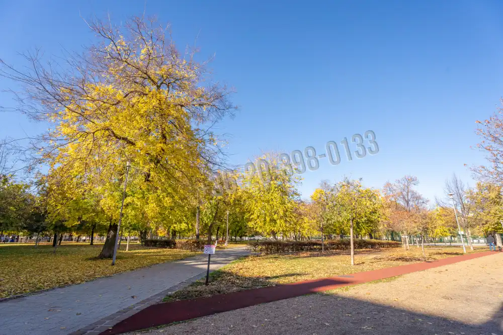 Budapest, VIII. kerület - Népszínház negyed