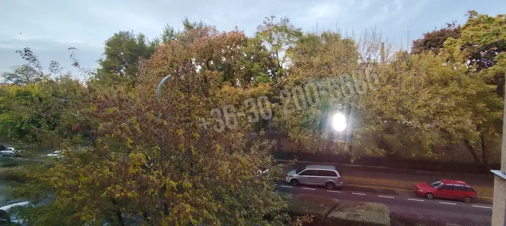 Budapest, VIII. kerület - Józsefváros – Ganznegyed