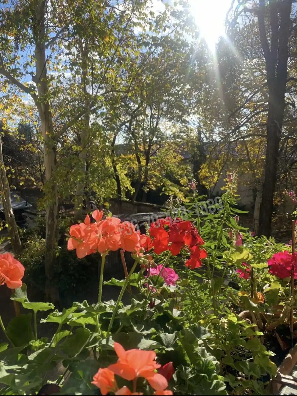 Budapest, X. kerület - Óhegy