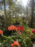 Budapest, X. kerület - Óhegy