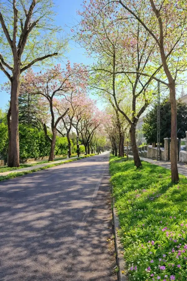 Eladó téglalakás, Budapest, XII. kerület 3 szoba 113 m² 398 M Ft