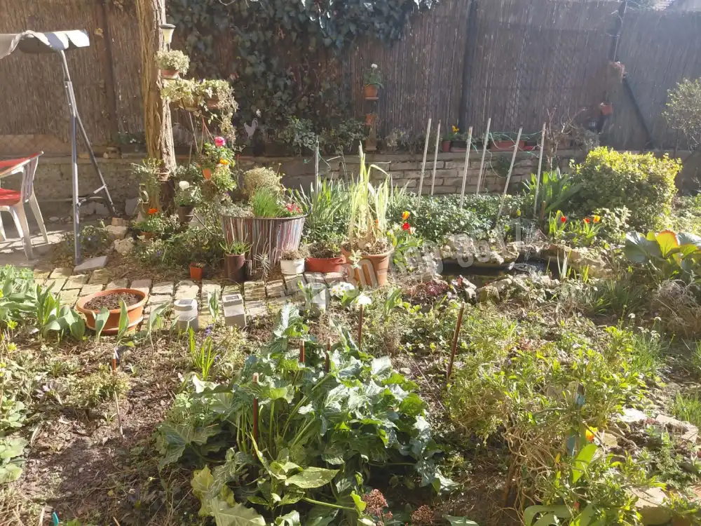 Budapest, XX. kerület - Pacsirtatelep