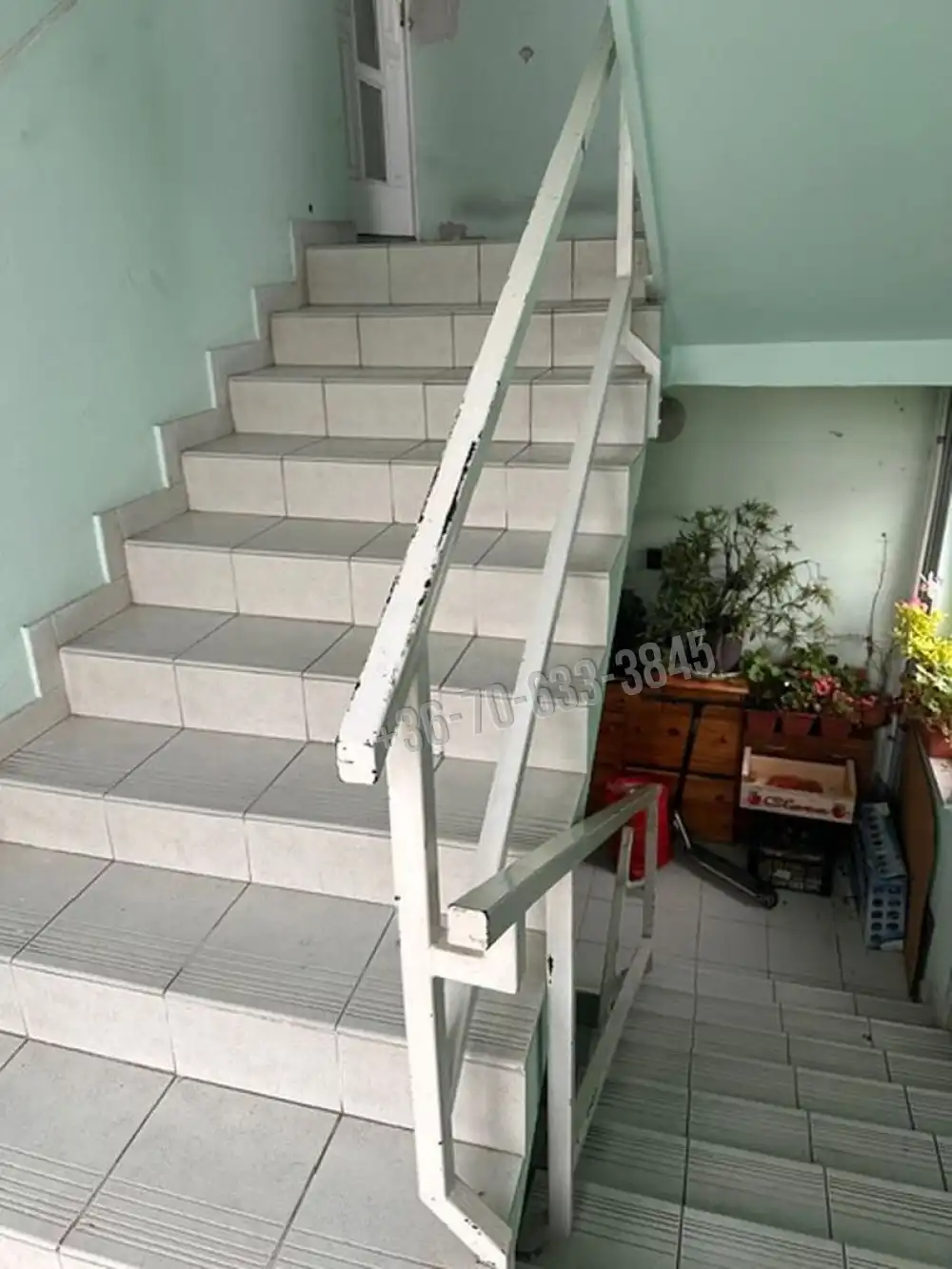 Budapest, XXI. kerület - Királyerdő