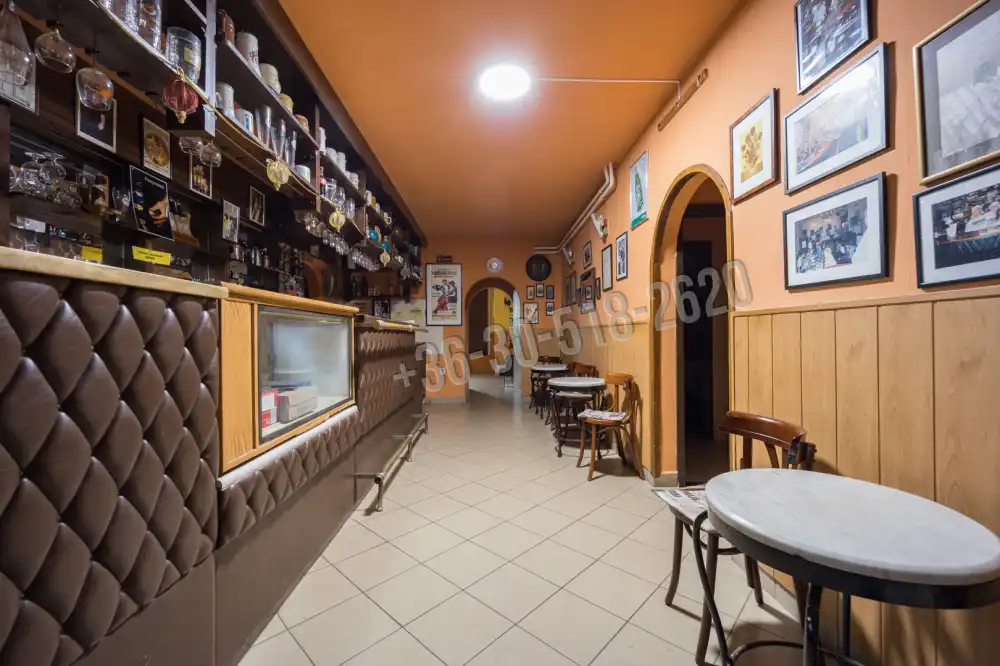 Pest megye - Dunakeszi