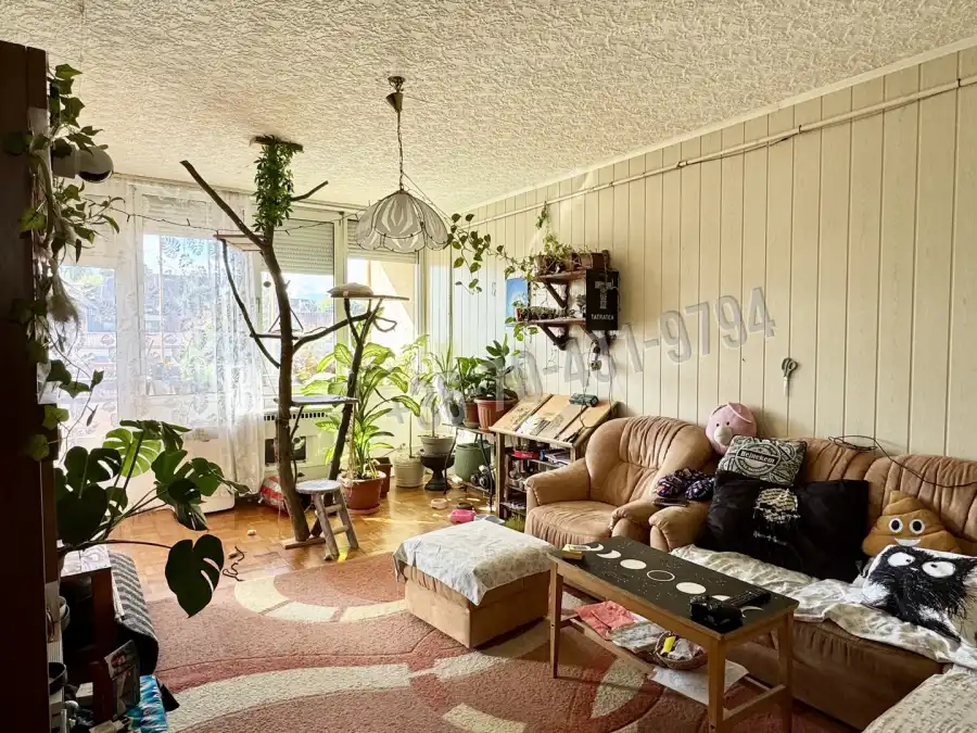 eladó téglalakás, Eger