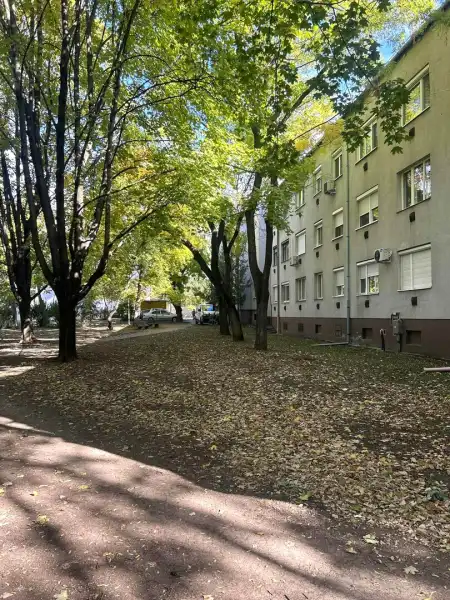 eladó téglalakás, Gyöngyös