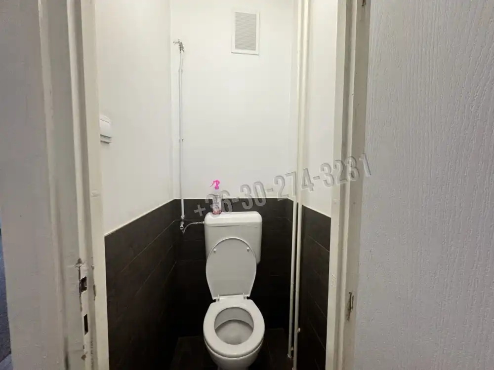 Bács-Kiskun megye - Kiskunfélegyháza