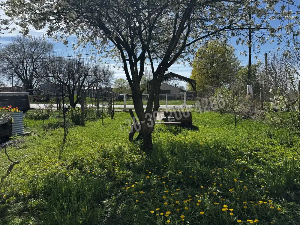 Győr-Moson-Sopron megye - Mosonmagyaróvár