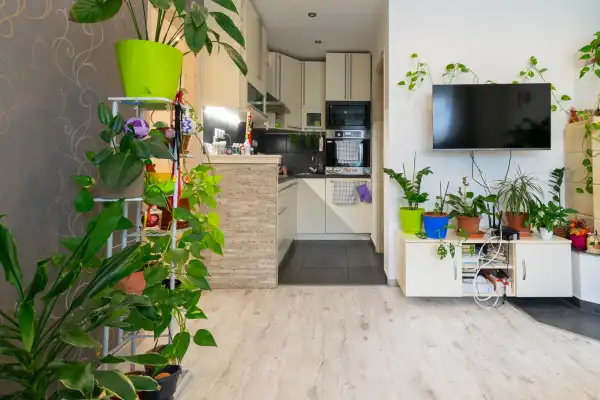 Eladó téglalakás, Mosonmagyaróvár 2 szoba 36 m² 32.76 M Ft