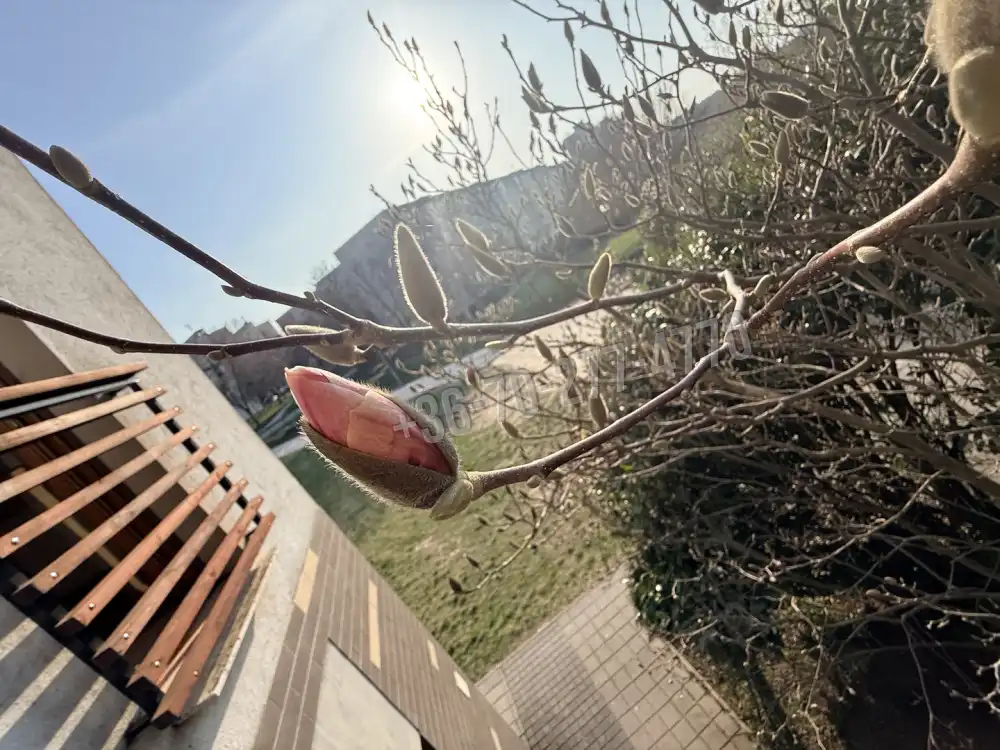 Komárom-Esztergom megye - Oroszlány