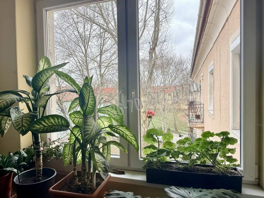 Komárom-Esztergom megye - Oroszlány